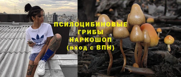 первитин Алексин
