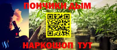 шишки Кудрово
