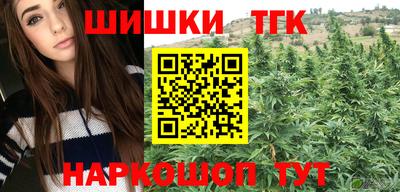 винт Гатчина