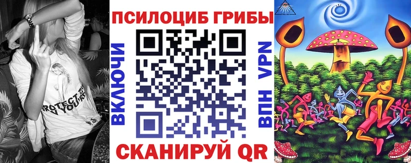Псилоцибиновые грибы прущие грибы mega зеркало Лосино-Петровский