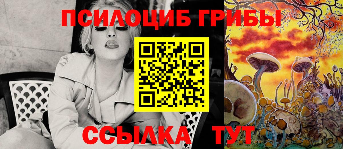 Псилоцибиновые грибы Psilocybine cubensis Лосино-Петровский